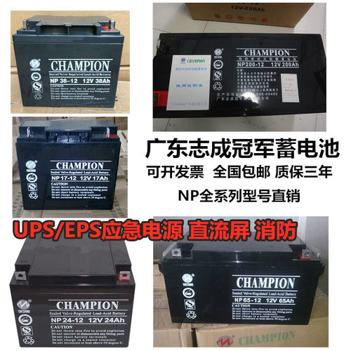 CHAMPION冠军蓄电池UPS