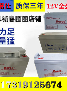 Reros雷诺士蓄电池NP/6-GFM-12V7/17/24/38/65/100/120/150/200AH