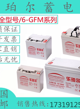 乐珀尔蓄电池LP/6-GFM-12V200A150A120A100A消防应急机房直流屏用