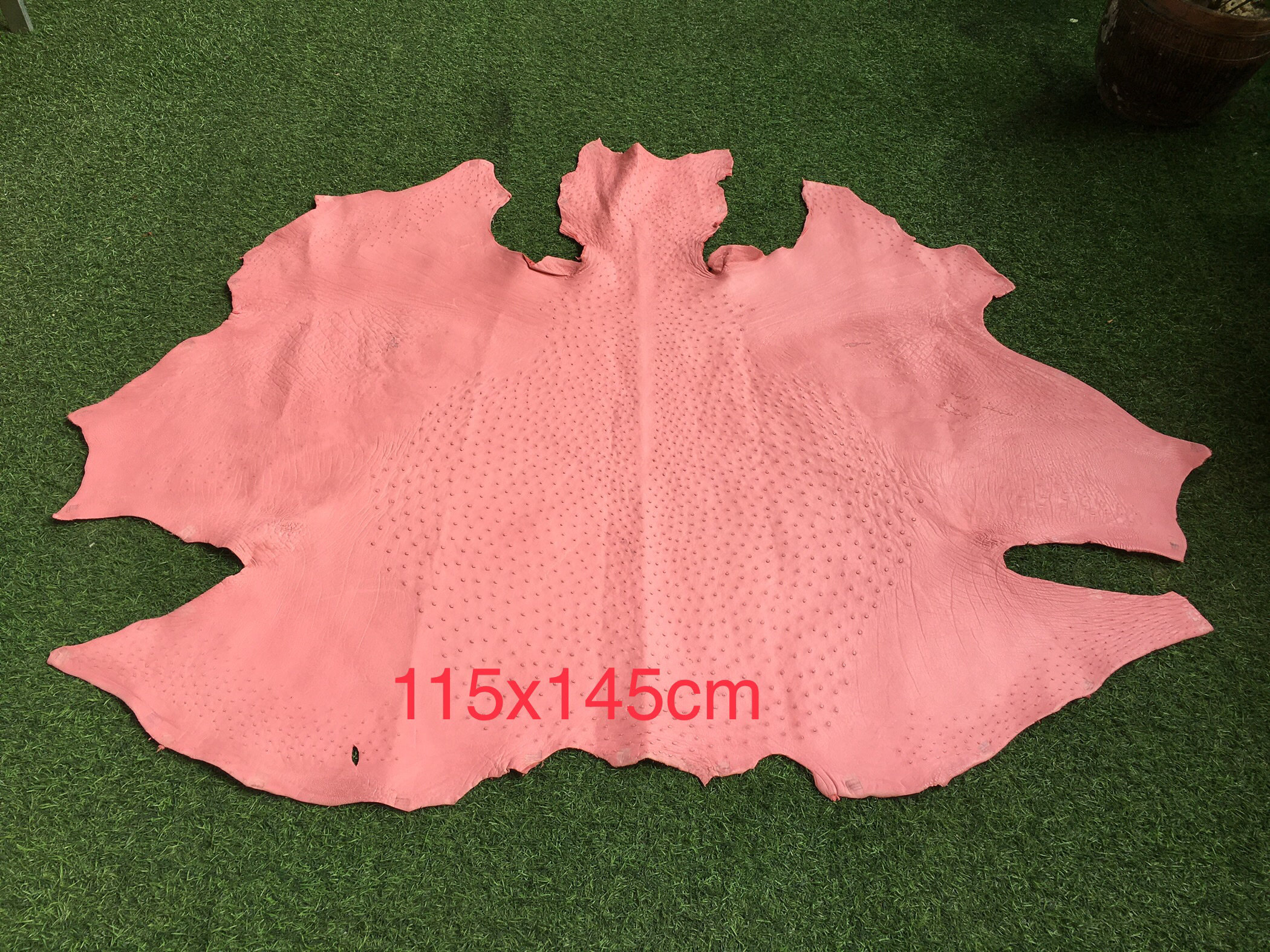 tzp316整张特种动物真皮粉色鸵鸟皮靴靴箱包皮具手工DIY皮料