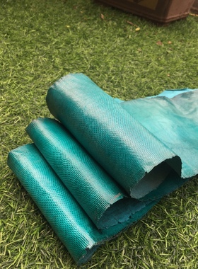 tzp271绿色沙蛇镶嵌饰品真皮手工DIY皮料12条