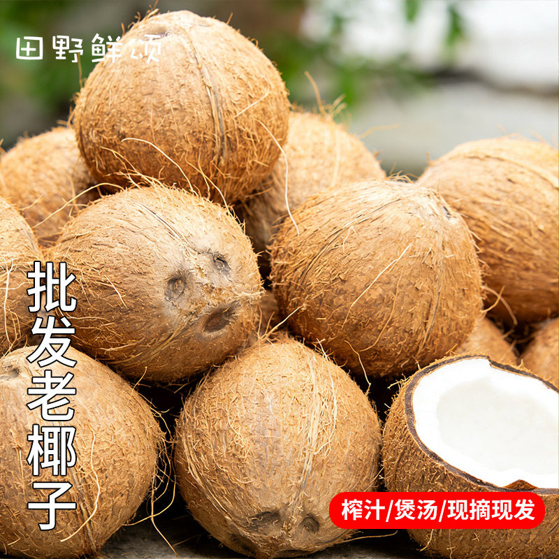 批发商用9个装老椰子新鲜现摘