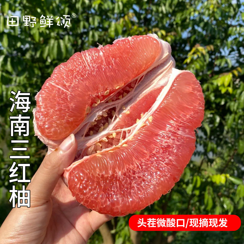当季头茬三红柚现摘现发