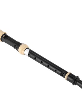 Flute Clarinet Recorder Soprano Professional-Sound ABS 8-Hol
