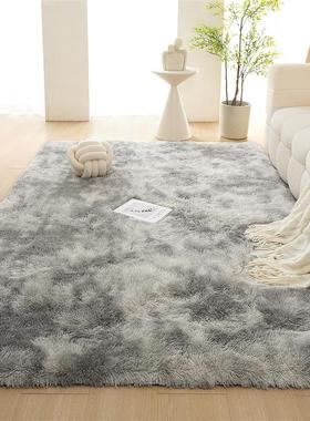 carpet living room carpet bedroom floor Long haired foot mat