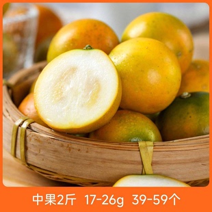 辰颐物语正宗脆蜜金桔广西融安金柑水果直发纯甜第三代大金桔爆汁