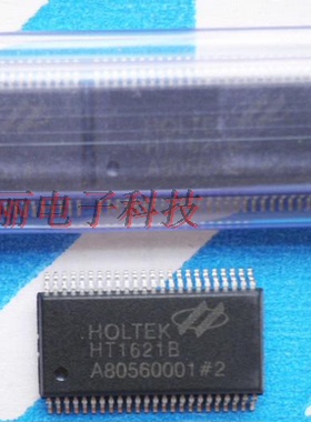 HT1621B SSOP-48 RAM映射 LCD驱动器 液晶芯片 大量现货 质量保证