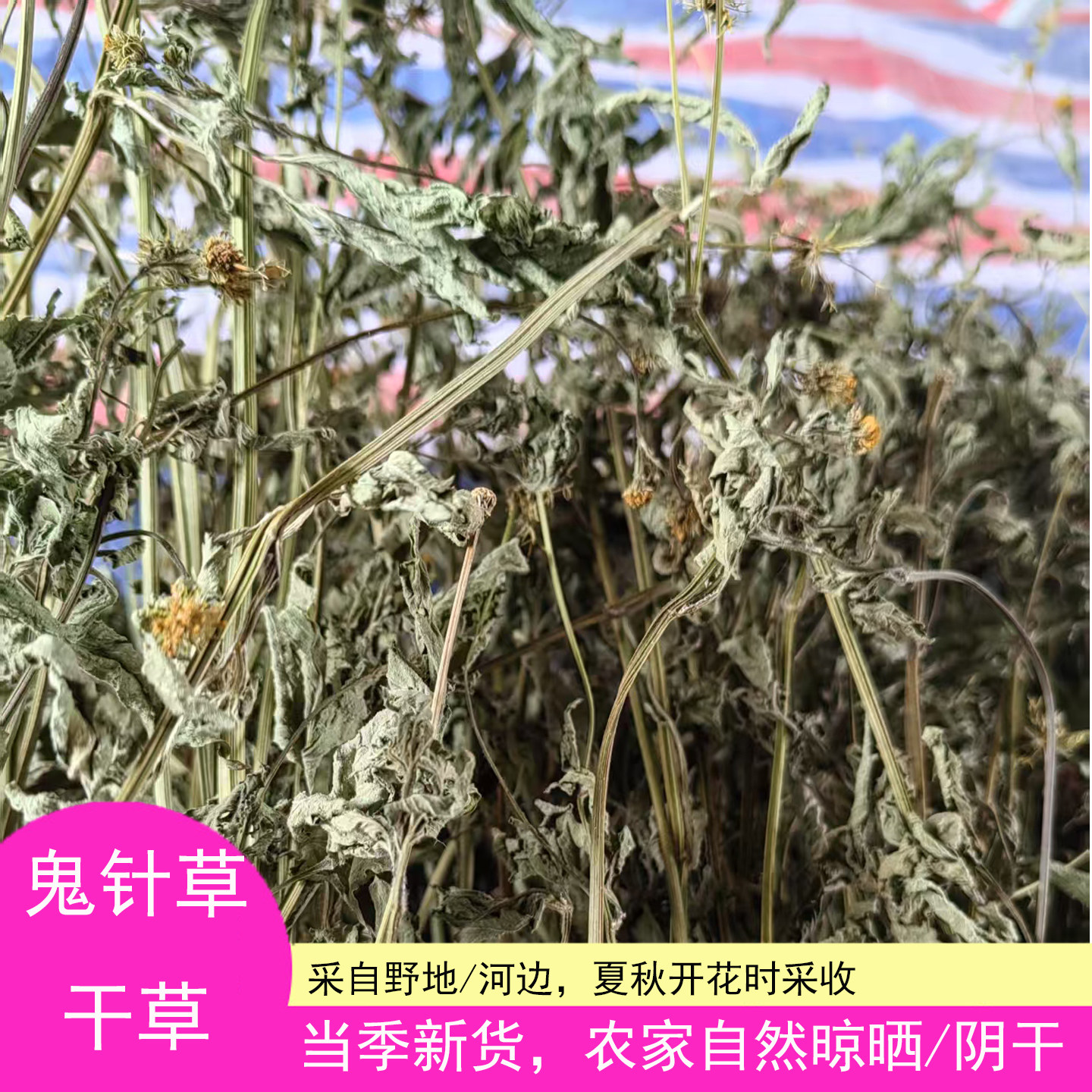 河南三叶鬼针草干品中草药