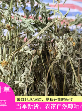 河南鬼针草干品鬼圪针中草药农家自晒散装三叶鬼针草茶四方枝