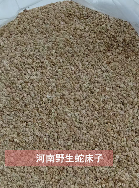 河南纯野生蛇床子草药中药材农家自晒当季新货