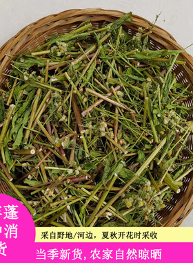 一年蓬女菀野蒿牙肿消千层塔治疟草白旋覆花散装天然干草中药材