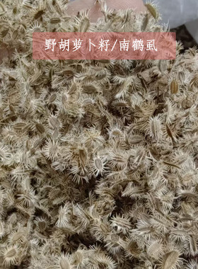 南鹤虱河南野胡萝卜籽虱子草窃衣子中药材农家自晒当季新货