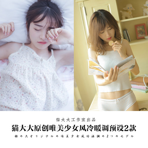 猫大大原创Lightroom调色后期唯美复古少女风冷暖调滤镜PS LR预设