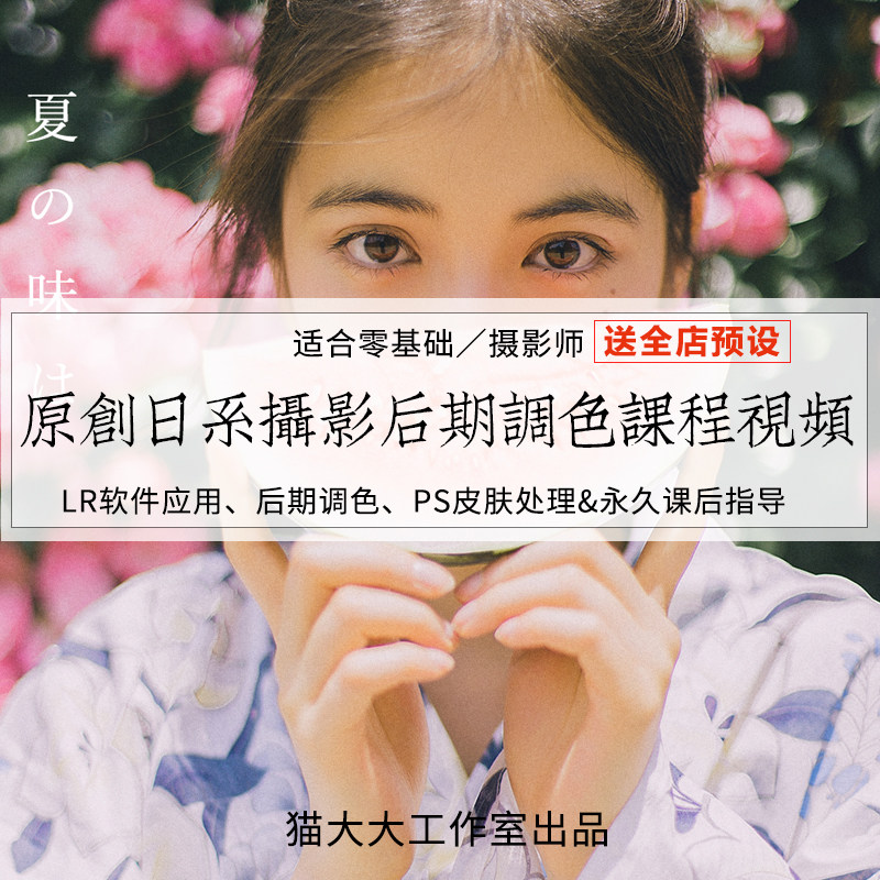 原创日系摄影后期调色课程预设素材