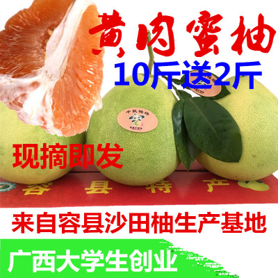 千秋柚园自家基地现摘现发