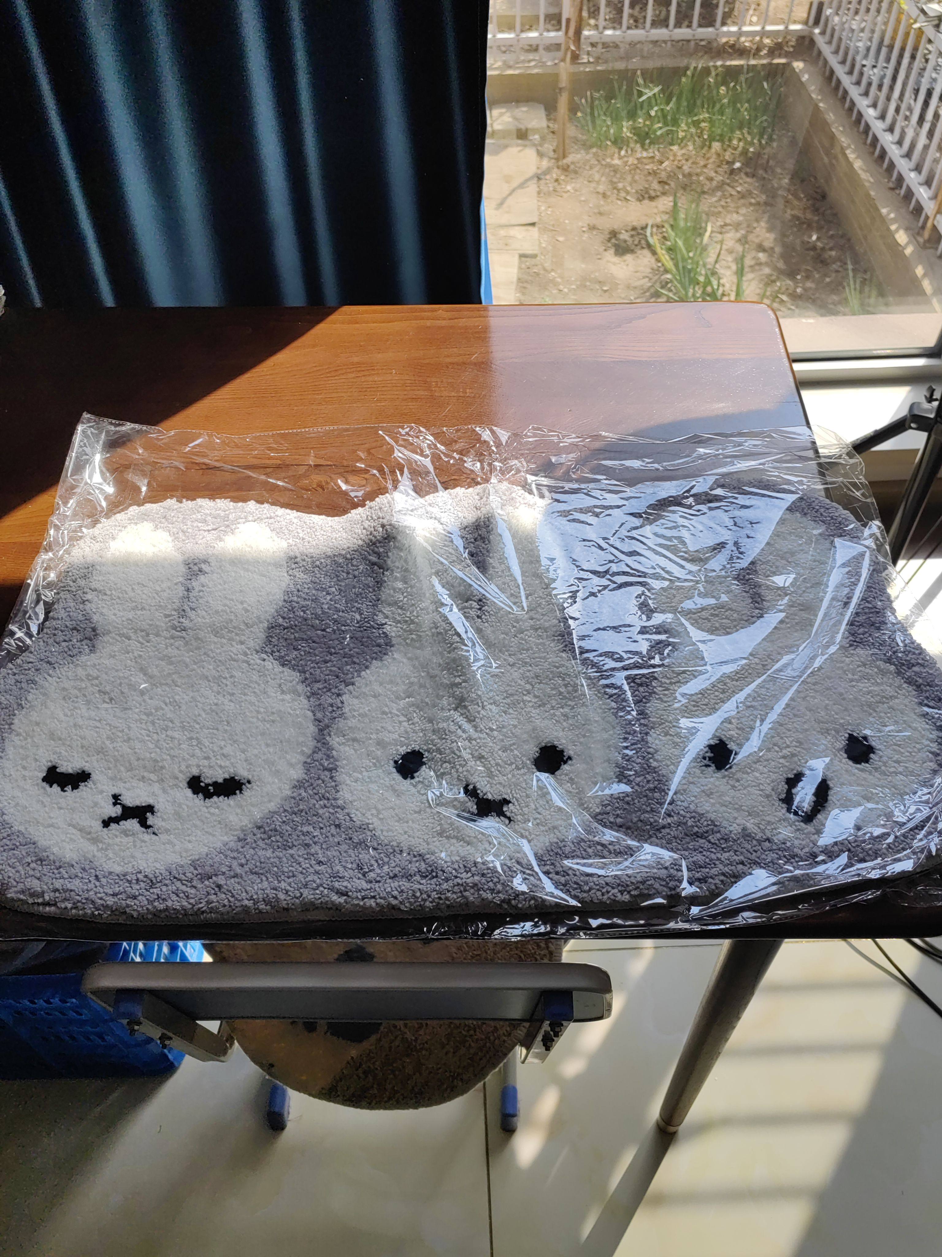 出口入户日本兔地毯加厚防滑浴室吸水地垫厚实洗澡洗地毯加厚玄关