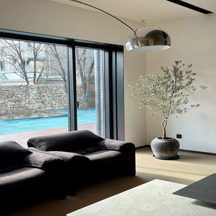 油橄榄树大型盆栽室内客厅绿植好养活办公室花卉盆景乔迁开业植物