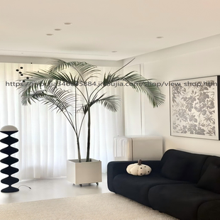 老桩散尾葵盆栽大型室内客厅好养绿植凤尾竹网红椰子树办公室植物