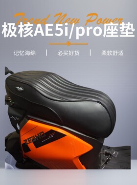 极核电动车座垫AE5i/pro坐垫改装一体防水座包记忆柔软海绵配件