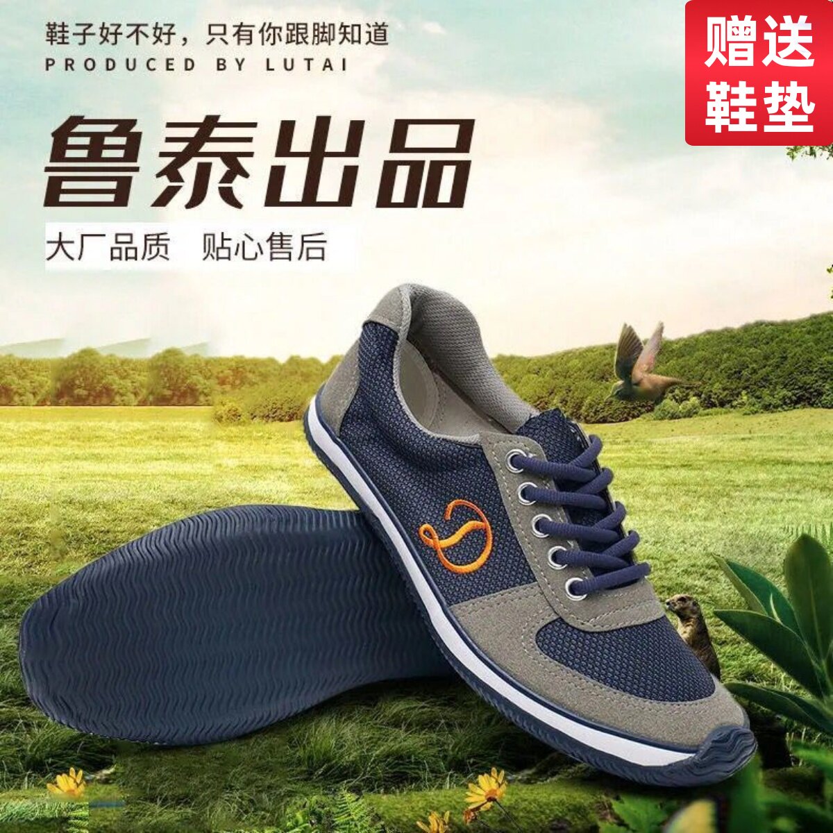 鲁泰低帮休闲风耐磨春秋款帆布鞋图片