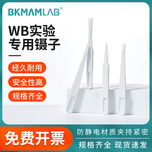 比克曼生物WB镊子实验专用碳纤维转膜镊子防静电扁头尖头弯头圆头