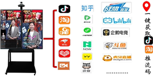 虚拟电商直播方案 多平台开播支持抖音淘宝 虚拟抠像 经济型
