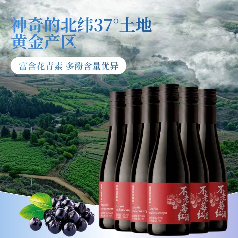 不老莓红酒13度小瓶酒女生微醺晚安酒礼盒装6支酒 不老梅酒果酒