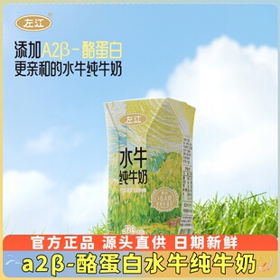左江A2 10盒8.4g蛋白质营养早餐奶 β酪蛋白水牛纯牛奶210ml