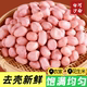 新店冲量 东北白沙花生米粉皮花生五谷杂粮无壳新货健康粗粮