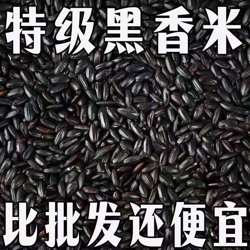【超划算】东北新货农家黑米五常黑香米黑大米粥紫米五谷杂粮糯米