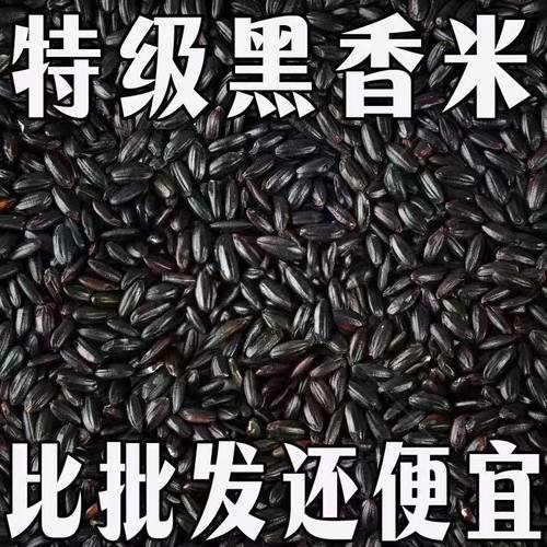 【超划算】东北新货农家黑米五常黑香米黑大米粥紫米五谷杂粮糯米