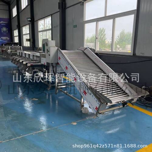 枇杷芒果分选设备无花果分选机洋葱土豆滚杠分级机生产厂家