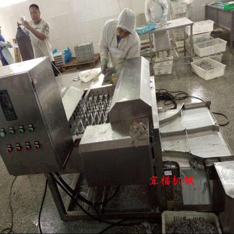 东海切鱼机 带鱼切段机 宜福带鱼切鱼机价格 带鱼切块机厂家