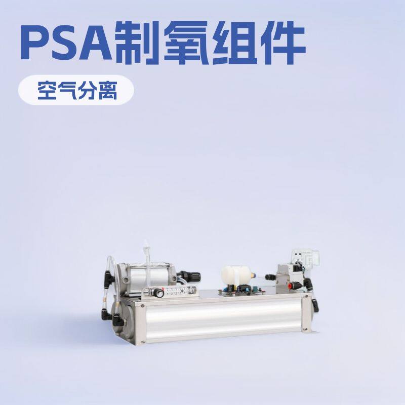 3升5升10升PSA制氧分子筛AB塔单元组件臭氧机配件3L5L10L制氧系统
