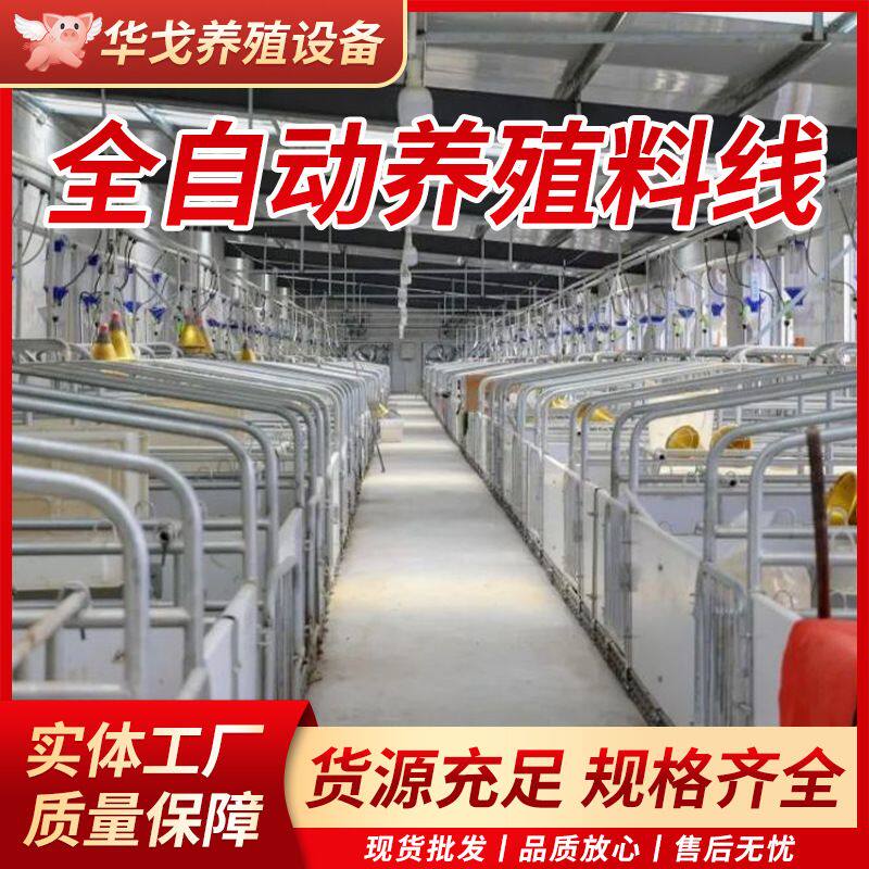 养猪料线 全自动赛盘链条上料线 养殖场饲料输送料线