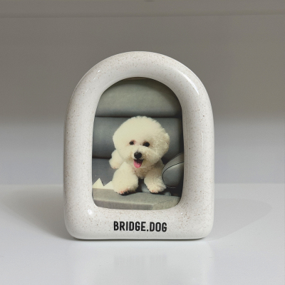 韩国BRIDGE.DOG 宠物周边 意式咖啡杯碟 勺子 相框 原装进口保证