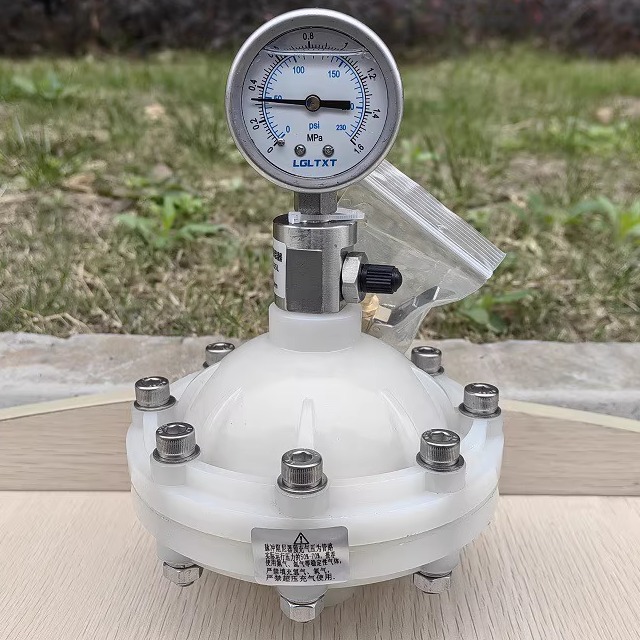 PVDF材质膜片式脉冲阻尼器 DN15/20/25 缓冲器缓冲罐气囊带压力表