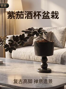 紫茄+黑色高脚酒杯陶瓷盆+底座+黑沙