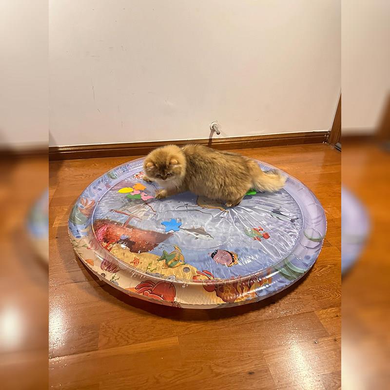 夏天降温神器猫咪注水冰垫玩具