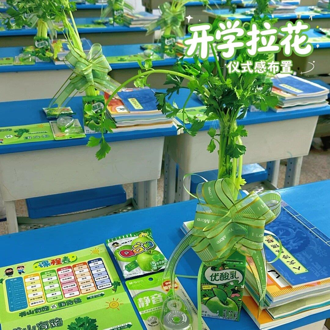 开学季礼物蝴蝶结拉花丝带