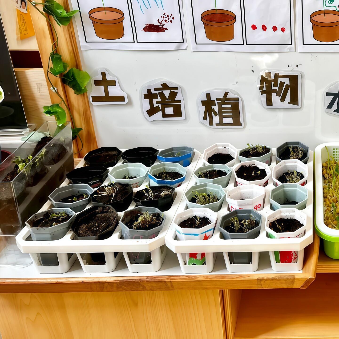 幼儿园植物角种植盆自然角环创