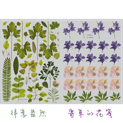 绿意盎然寄来的花笺转印贴素材
