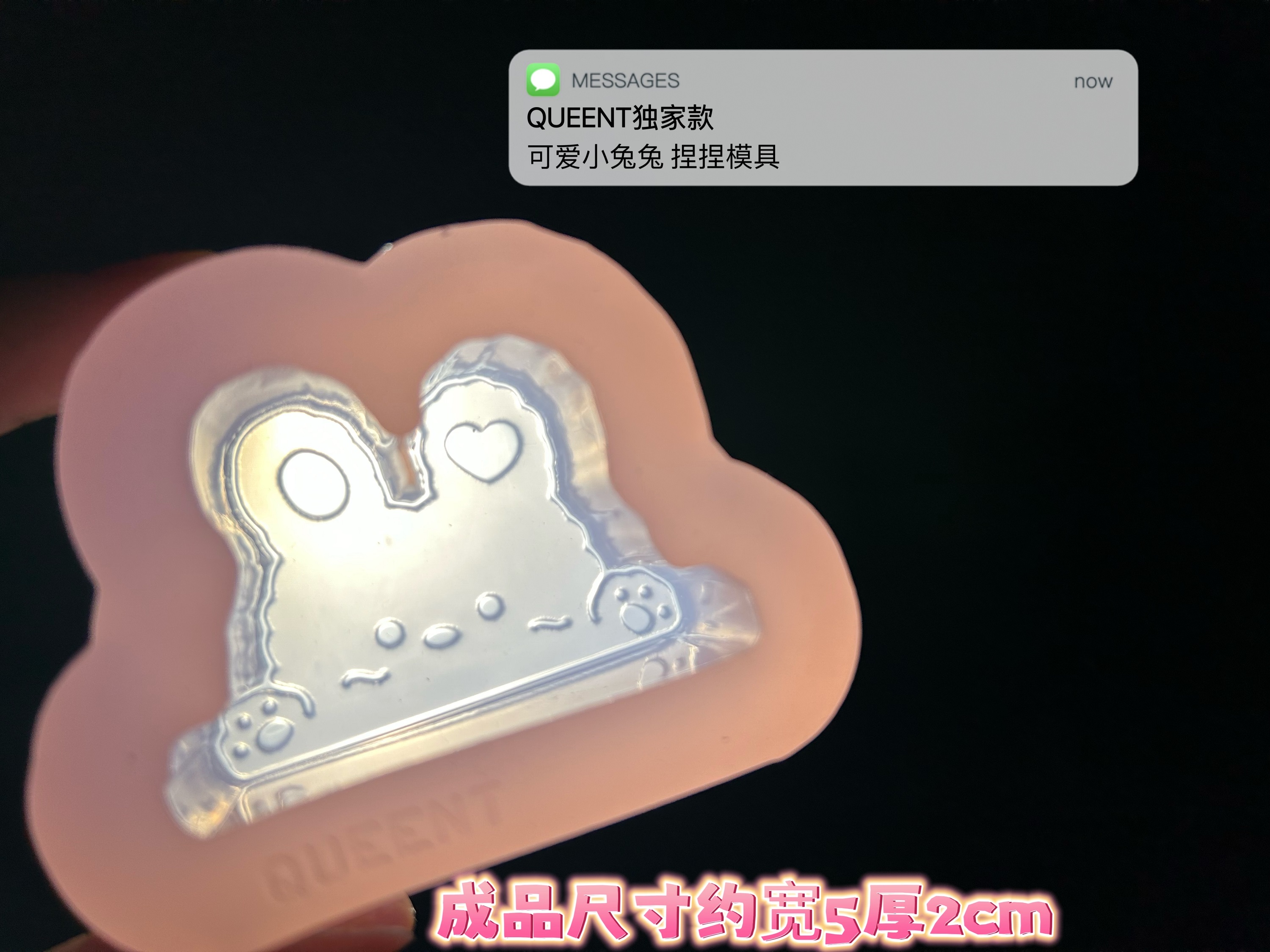 QUEENT捏捏模具可爱小兔兔