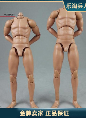 COOMODEL 1/6兵人可动男素体 MB BD001 BD002 2.0 2024升级版现货