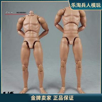 COO1/62025版BD001男兵人素体