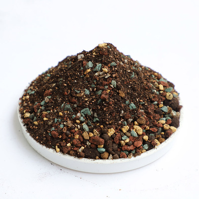 颗粒土多肉植物营养土仙人球专用