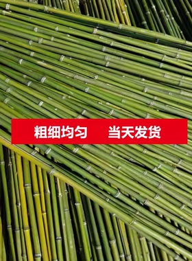竹竿菜园搭架蔬菜黄瓜番茄豆角架杆竹篱笆栅栏小竹子细竹竿爬藤架