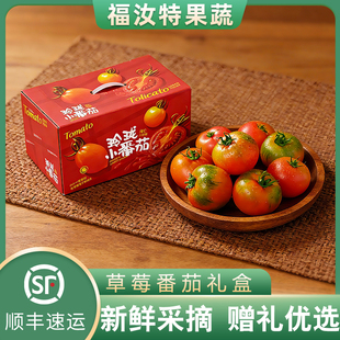 正宗铁皮草莓西红柿绿腚番茄柿子新鲜水果自然熟整箱礼盒装 顺丰
