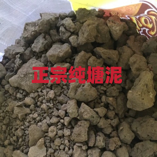 塘泥池塘土荷塘土种植土养花土菜园有机土盆栽纯天然植物土壤通用