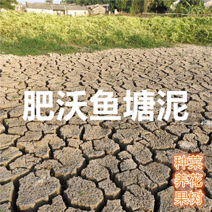 塘泥种植土营养土肥沃鱼塘泥天然泥土池塘土花土种菜土果树土通用